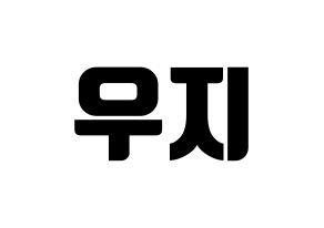 KPOP SEVENTEEN(세븐틴、セブンティーン) 우지 (ウジ) コンサート用　応援ボード・うちわ　韓国語/ハングル文字型紙 通常