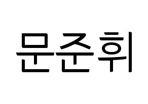KPOP SEVENTEEN(세븐틴、セブンティーン) 준 (ジュン) コンサート用　応援ボード・うちわ　韓国語/ハングル文字型紙 通常