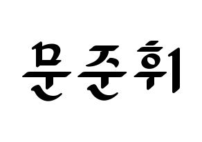 KPOP SEVENTEEN(세븐틴、セブンティーン) 준 (ジュン) 応援ボード ハングル 型紙  通常