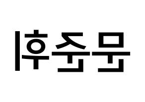 KPOP SEVENTEEN(세븐틴、セブンティーン) 준 (ムン・ジュンフィ, ジュン) 無料サイン会用、イベント会用応援ボード型紙 左右反転
