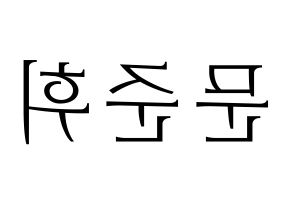 KPOP SEVENTEEN(세븐틴、セブンティーン) 준 (ジュン) 応援ボード・うちわ　韓国語/ハングル文字型紙 左右反転