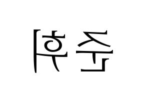 KPOP SEVENTEEN(세븐틴、セブンティーン) 준 (ジュン) 応援ボード・うちわ　韓国語/ハングル文字型紙 左右反転