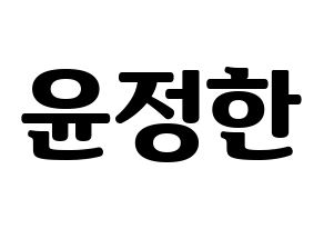 KPOP SEVENTEEN(세븐틴、セブンティーン) 정한 (ジョンハン) コンサート用　応援ボード・うちわ　韓国語/ハングル文字型紙 通常