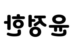 KPOP SEVENTEEN(세븐틴、セブンティーン) 정한 (ジョンハン) 応援ボード・うちわ　韓国語/ハングル文字型紙 左右反転