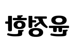 KPOP SEVENTEEN(세븐틴、セブンティーン) 정한 (ジョンハン) コンサート用　応援ボード・うちわ　韓国語/ハングル文字型紙 左右反転