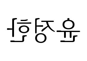 KPOP SEVENTEEN(세븐틴、セブンティーン) 정한 (ジョンハン) 応援ボード・うちわ　韓国語/ハングル文字型紙 左右反転