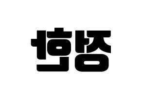 KPOP SEVENTEEN(세븐틴、セブンティーン) 정한 (ジョンハン) コンサート用　応援ボード・うちわ　韓国語/ハングル文字型紙 左右反転