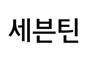 Kpop歌手 Seventeen 세븐틴 セブンティーン 応援ボード型紙 うちわ型紙 韓国語 ハングル文字