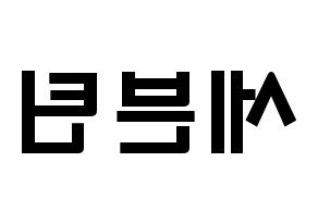 KPOP歌手 SEVENTEEN(세븐틴、セブンティーン) 応援ボード型紙、うちわ型紙　韓国語/ハングル文字 左右反転