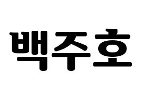 KPOP SF9(에스에프나인、エスエフナイン) 주호 (ジュホ) コンサート用　応援ボード・うちわ　韓国語/ハングル文字型紙 通常