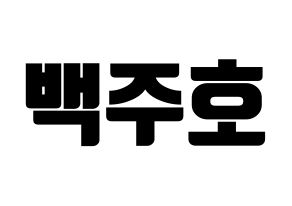 KPOP SF9(에스에프나인、エスエフナイン) 주호 (ジュホ) コンサート用　応援ボード・うちわ　韓国語/ハングル文字型紙 通常