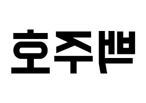 KPOP SF9(에스에프나인、エスエフナイン) 주호 (ジュホ) 名前 応援ボード 作り方 左右反転