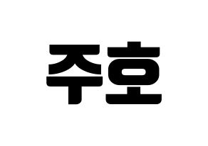 KPOP SF9(에스에프나인、エスエフナイン) 주호 (ジュホ) コンサート用　応援ボード・うちわ　韓国語/ハングル文字型紙 通常