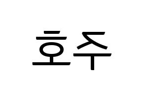 KPOP SF9(에스에프나인、エスエフナイン) 주호 (ジュホ) コンサート用　応援ボード・うちわ　韓国語/ハングル文字型紙 左右反転