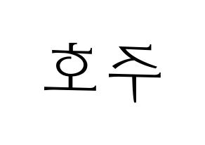 KPOP SF9(에스에프나인、エスエフナイン) 주호 (ジュホ) 応援ボード・うちわ　韓国語/ハングル文字型紙 左右反転