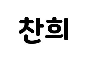 KPOP SF9(에스에프나인、エスエフナイン) 찬희 (チャニ) 応援ボード・うちわ　韓国語/ハングル文字型紙 通常