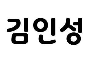KPOP SF9(에스에프나인、エスエフナイン) 인성 (インソン) 応援ボード・うちわ　韓国語/ハングル文字型紙 通常