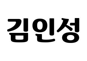 KPOP SF9(에스에프나인、エスエフナイン) 인성 (インソン) コンサート用　応援ボード・うちわ　韓国語/ハングル文字型紙 通常