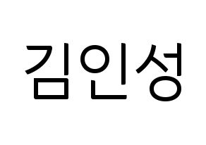 KPOP SF9(에스에프나인、エスエフナイン) 인성 (インソン) コンサート用　応援ボード・うちわ　韓国語/ハングル文字型紙 通常