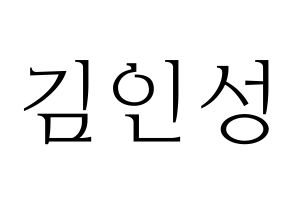 KPOP SF9(에스에프나인、エスエフナイン) 인성 (インソン) 応援ボード・うちわ　韓国語/ハングル文字型紙 通常