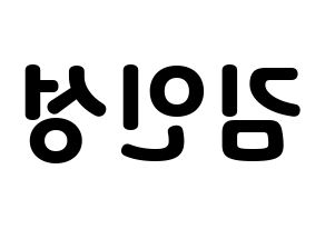 KPOP SF9(에스에프나인、エスエフナイン) 인성 (インソン) 応援ボード・うちわ　韓国語/ハングル文字型紙 左右反転