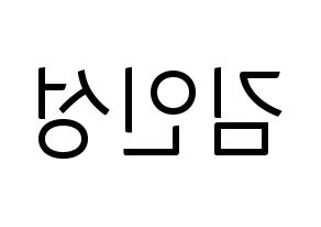 KPOP SF9(에스에프나인、エスエフナイン) 인성 (インソン) コンサート用　応援ボード・うちわ　韓国語/ハングル文字型紙 左右反転