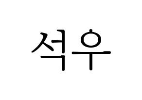 KPOP SF9(에스에프나인、エスエフナイン) 로운 (ロウン) 応援ボード・うちわ　韓国語/ハングル文字型紙 通常