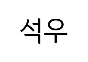 KPOP SF9(에스에프나인、エスエフナイン) 로운 (ロウン) コンサート用　応援ボード・うちわ　韓国語/ハングル文字型紙 通常