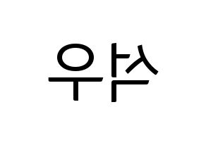 KPOP SF9(에스에프나인、エスエフナイン) 로운 (ロウン) コンサート用　応援ボード・うちわ　韓国語/ハングル文字型紙 左右反転