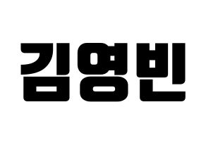 KPOP SF9(에스에프나인、エスエフナイン) 영빈 (ヨンビン) コンサート用　応援ボード・うちわ　韓国語/ハングル文字型紙 通常