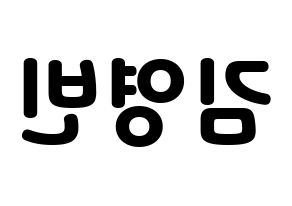 KPOP SF9(에스에프나인、エスエフナイン) 영빈 (ヨンビン) 応援ボード・うちわ　韓国語/ハングル文字型紙 左右反転