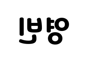 KPOP SF9(에스에프나인、エスエフナイン) 영빈 (ヨンビン) 応援ボード・うちわ　韓国語/ハングル文字型紙 左右反転