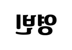 KPOP SF9(에스에프나인、エスエフナイン) 영빈 (ヨンビン) コンサート用　応援ボード・うちわ　韓国語/ハングル文字型紙 左右反転