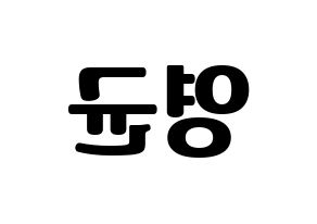 KPOP SF9(에스에프나인、エスエフナイン) 휘영 (フィヨン) コンサート用　応援ボード・うちわ　韓国語/ハングル文字型紙 左右反転