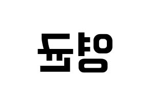 KPOP SF9(에스에프나인、エスエフナイン) 휘영 (フィヨン) k-pop アイドル名前 ファンサボード 型紙 左右反転