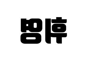 KPOP SF9(에스에프나인、エスエフナイン) 휘영 (フィヨン) コンサート用　応援ボード・うちわ　韓国語/ハングル文字型紙 左右反転