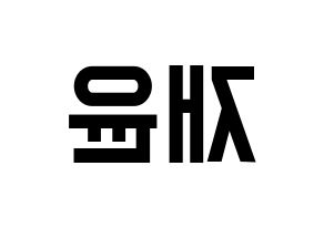 KPOP SF9(에스에프나인、エスエフナイン) 재윤 (ジェユン) 名前 応援ボード 作り方 左右反転