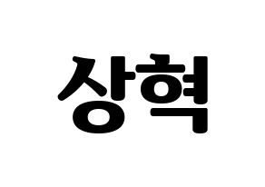 KPOP SF9(에스에프나인、エスエフナイン) 다원 (ダウォン) コンサート用　応援ボード・うちわ　韓国語/ハングル文字型紙 通常