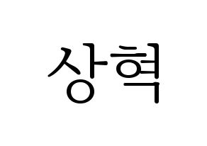 KPOP SF9(에스에프나인、エスエフナイン) 다원 (ダウォン) 応援ボード・うちわ　韓国語/ハングル文字型紙 通常