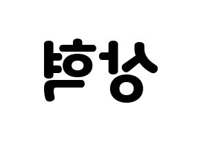 KPOP SF9(에스에프나인、エスエフナイン) 다원 (ダウォン) 応援ボード・うちわ　韓国語/ハングル文字型紙 左右反転