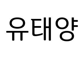 KPOP SF9(에스에프나인、エスエフナイン) 태양 (テヤン) プリント用応援ボード型紙、うちわ型紙　韓国語/ハングル文字型紙 通常