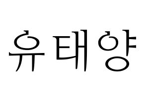 KPOP SF9(에스에프나인、エスエフナイン) 태양 (テヤン) 応援ボード・うちわ　韓国語/ハングル文字型紙 通常