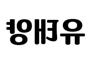 KPOP SF9(에스에프나인、エスエフナイン) 태양 (テヤン) コンサート用　応援ボード・うちわ　韓国語/ハングル文字型紙 左右反転