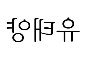 KPOP SF9(에스에프나인、エスエフナイン) 태양 (テヤン) 応援ボード・うちわ　韓国語/ハングル文字型紙 左右反転