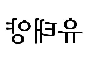 KPOP SF9(에스에프나인、エスエフナイン) 태양 (テヤン) プリント用応援ボード型紙、うちわ型紙　韓国語/ハングル文字型紙 左右反転