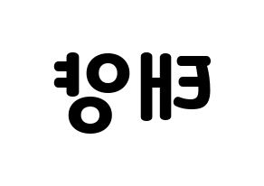 KPOP SF9(에스에프나인、エスエフナイン) 태양 (テヤン) 応援ボード・うちわ　韓国語/ハングル文字型紙 左右反転