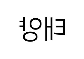 KPOP SF9(에스에프나인、エスエフナイン) 태양 (テヤン) プリント用応援ボード型紙、うちわ型紙　韓国語/ハングル文字型紙 左右反転