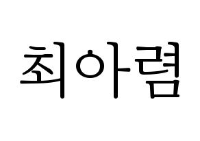 KPOP SHA SHA(샤샤、シャシャ) 아렴 (アリョム) 応援ボード・うちわ　韓国語/ハングル文字型紙 通常