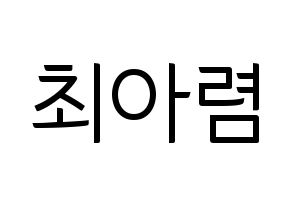 KPOP SHA SHA(샤샤、シャシャ) 아렴 (アリョム) コンサート用　応援ボード・うちわ　韓国語/ハングル文字型紙 通常