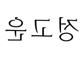 KPOP SHA SHA(샤샤、シャシャ) 고운 (コウン) 応援ボード・うちわ　韓国語/ハングル文字型紙 左右反転